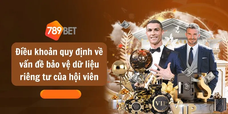 Điều khoản quy định về vấn đề bảo vệ dữ liệu riêng tư của hội viên